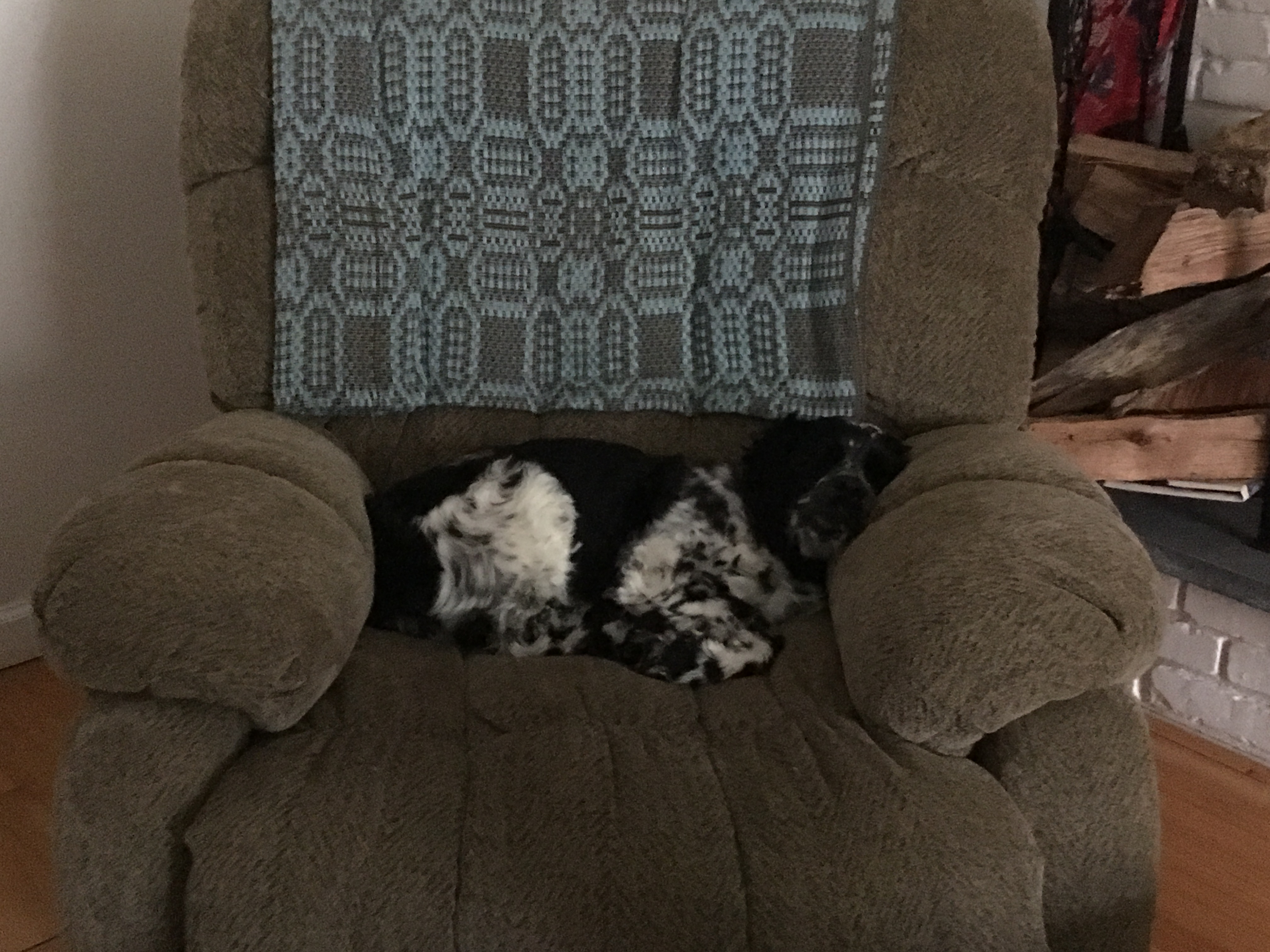 2017-05-29_15-49-34_414.jpeg