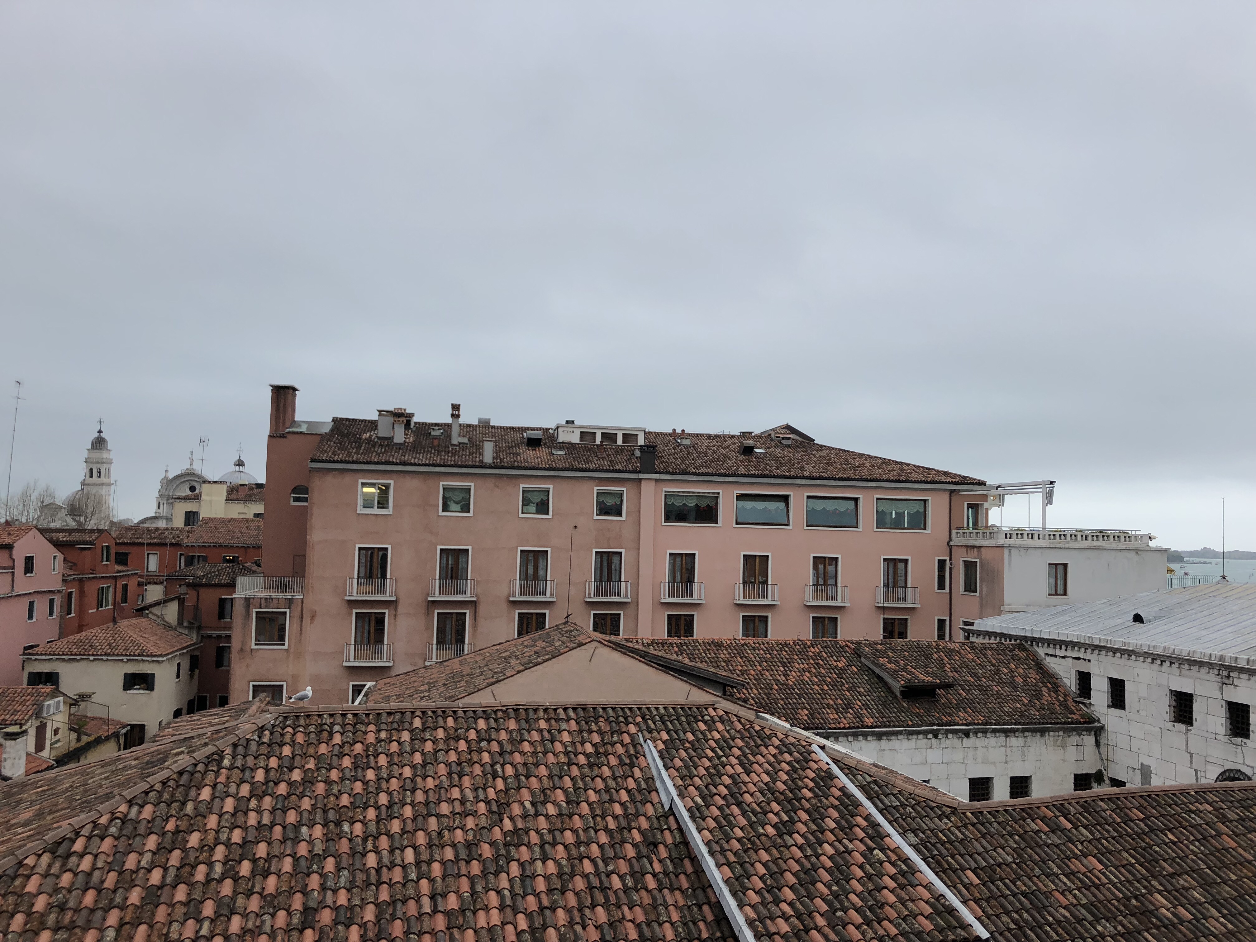 2018-04-12_05-45-26_942.jpeg