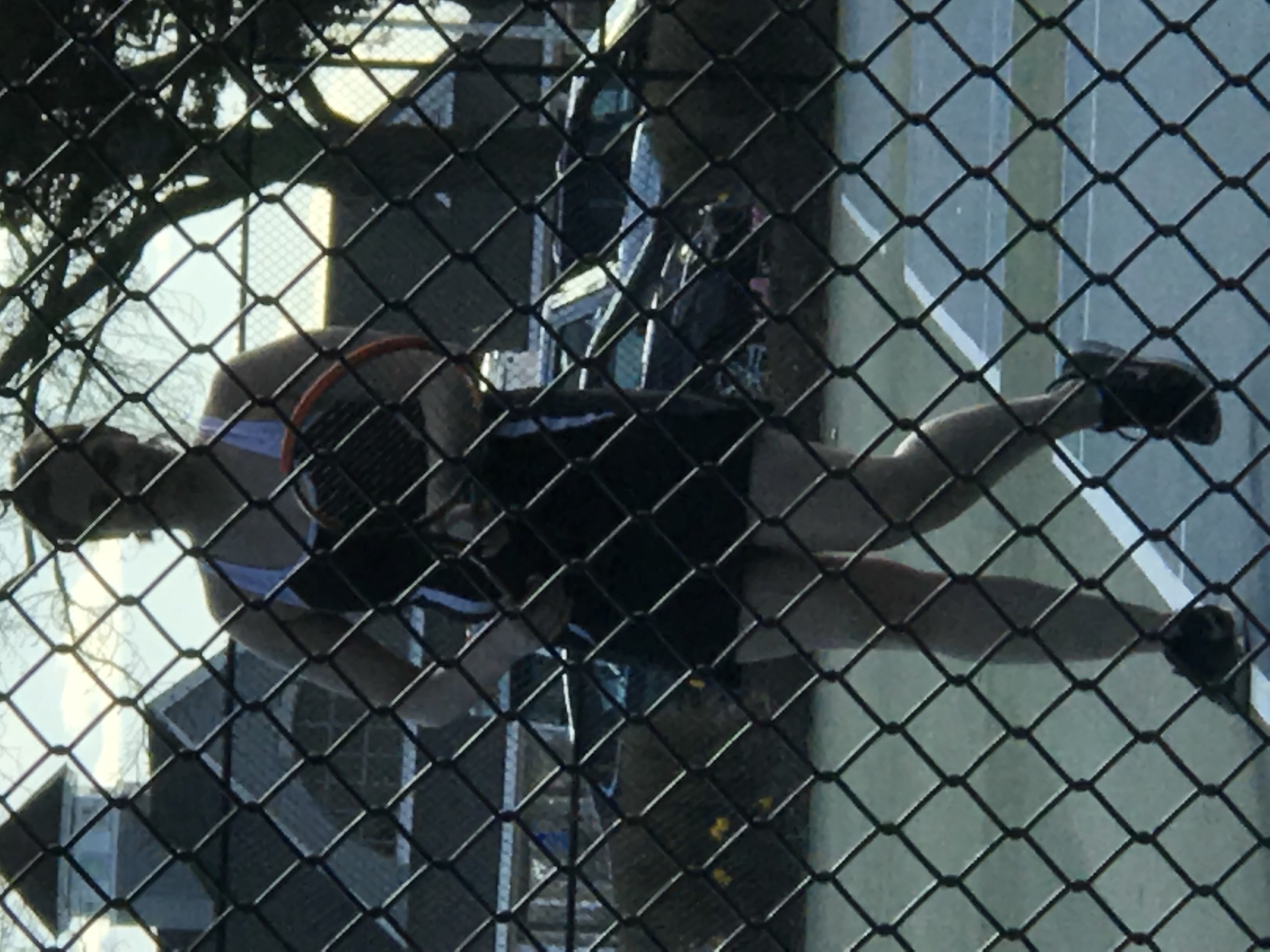 2018-04-26_17-25-46_158.jpeg