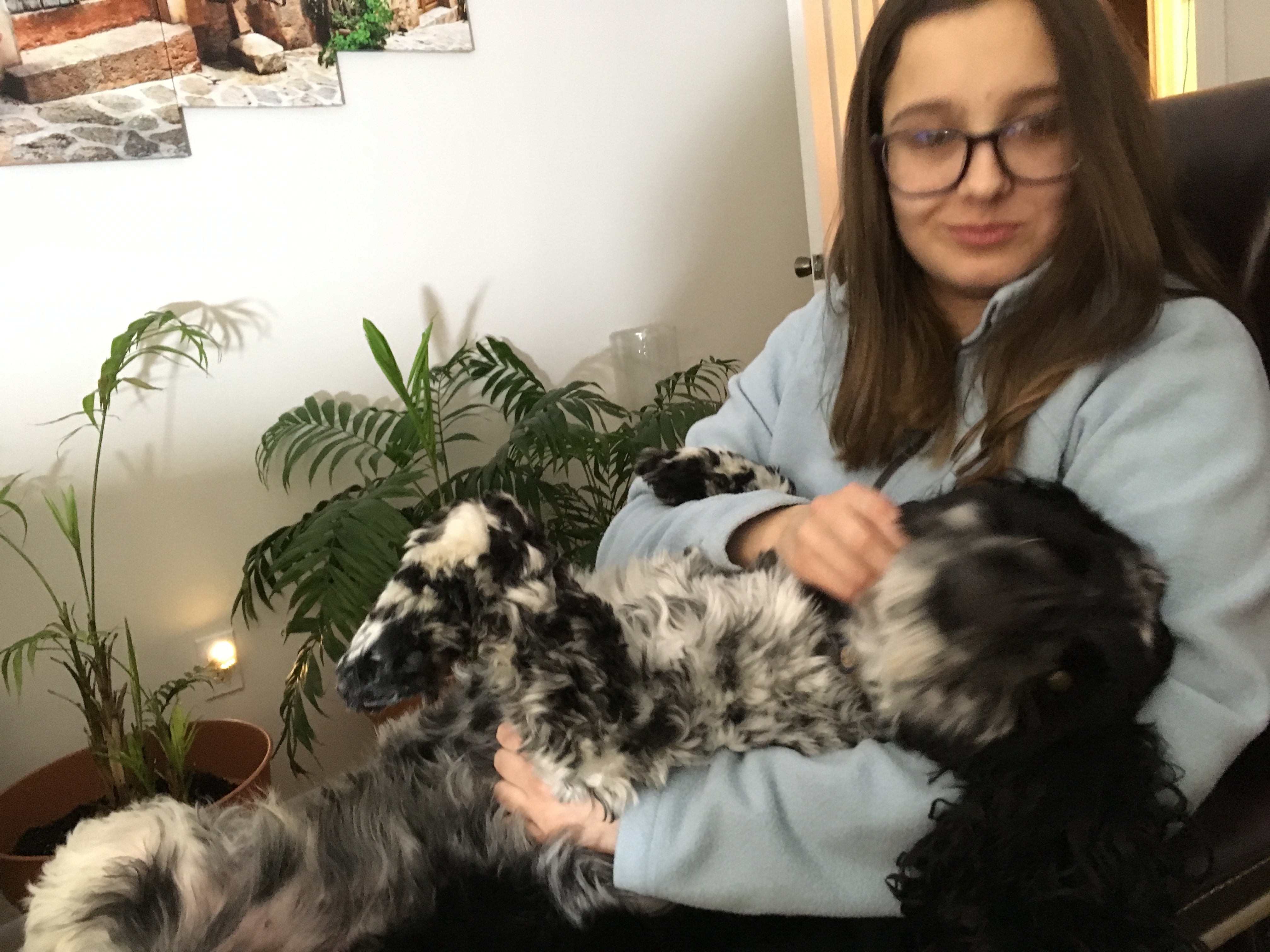 2018-01-21_19-13-03_795.jpeg