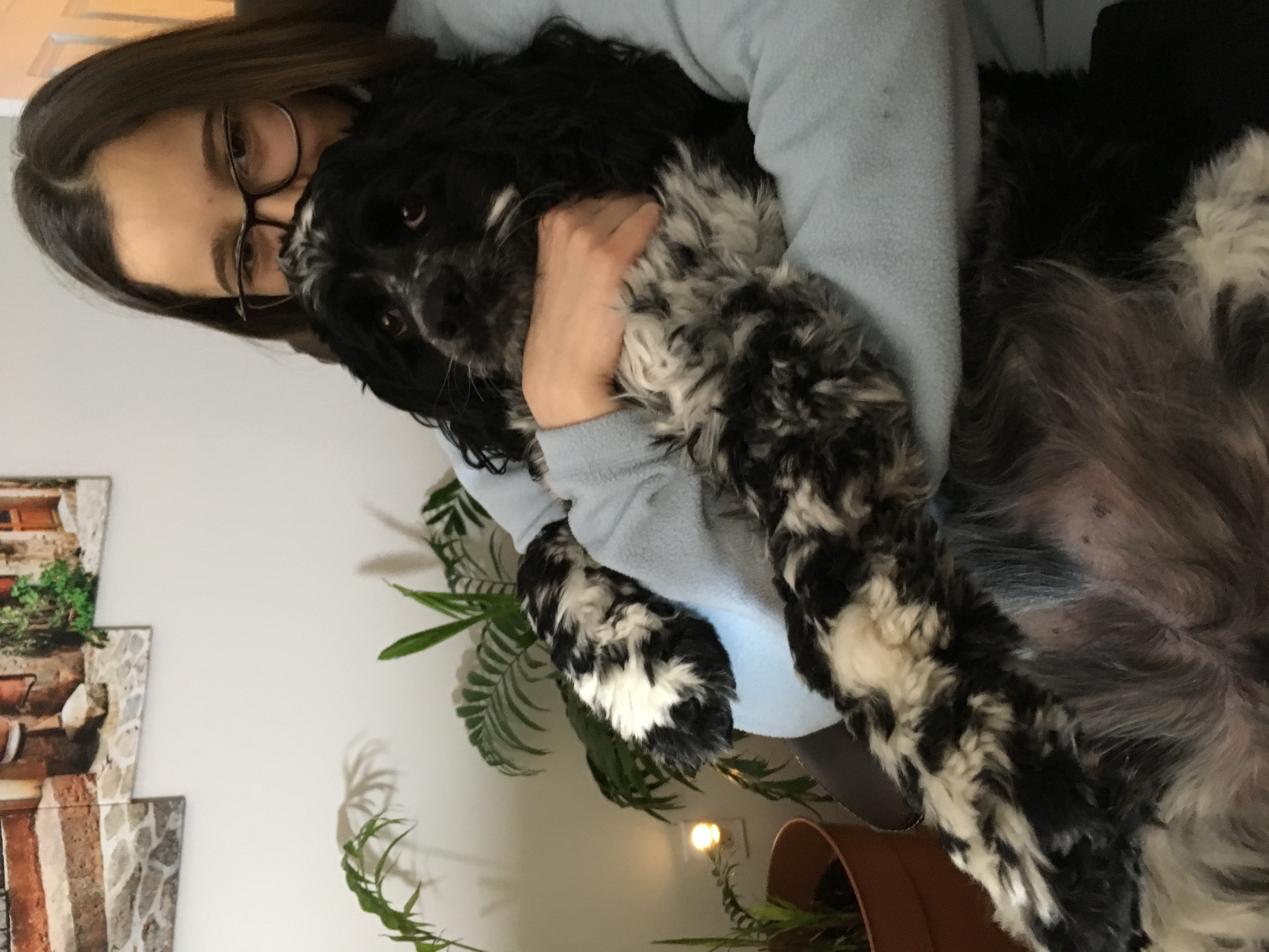 2018-01-21_19-13-24_998.jpeg