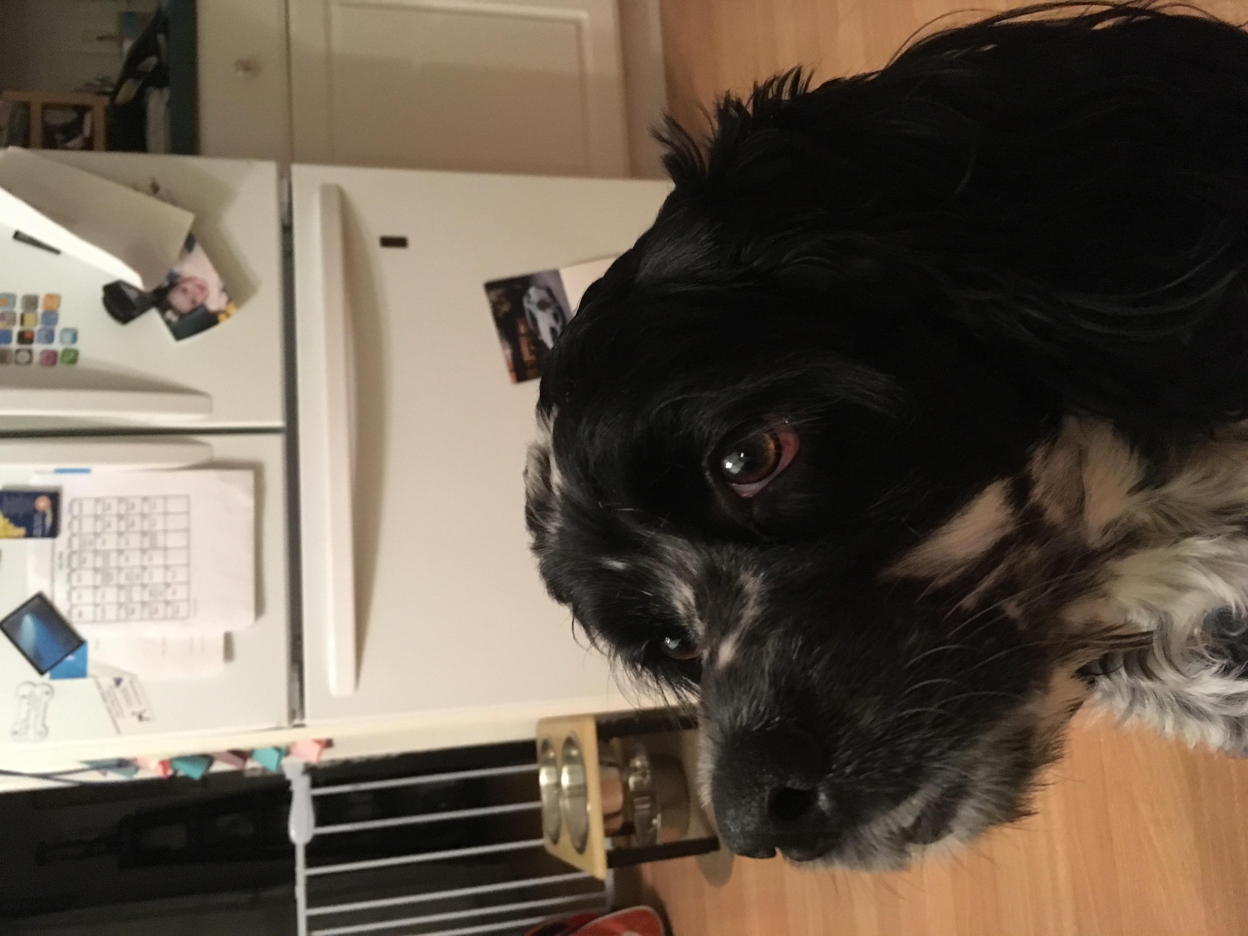 2018-07-11_23-49-36_159.jpeg