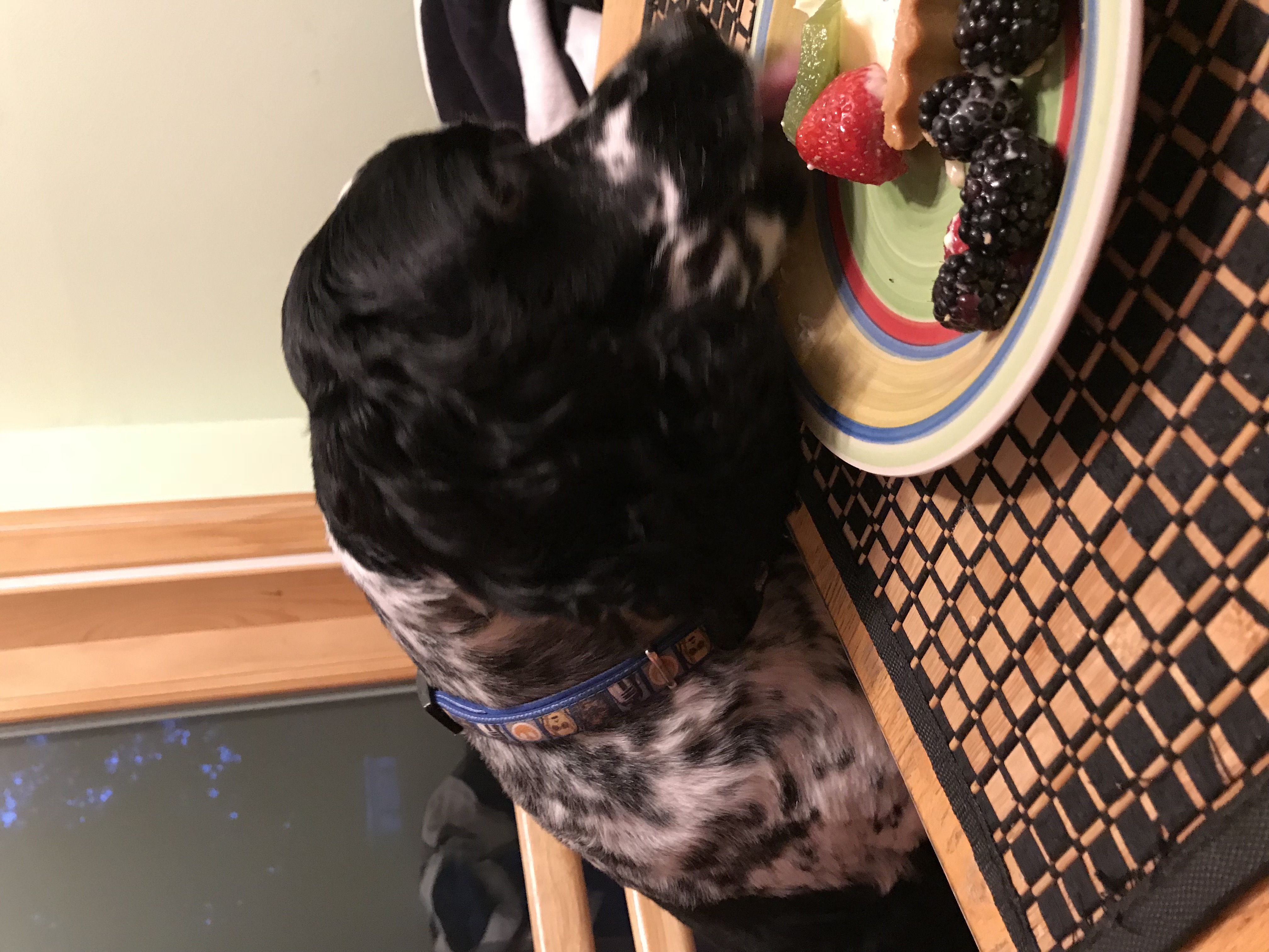 2018-07-24_20-30-45_126.jpeg