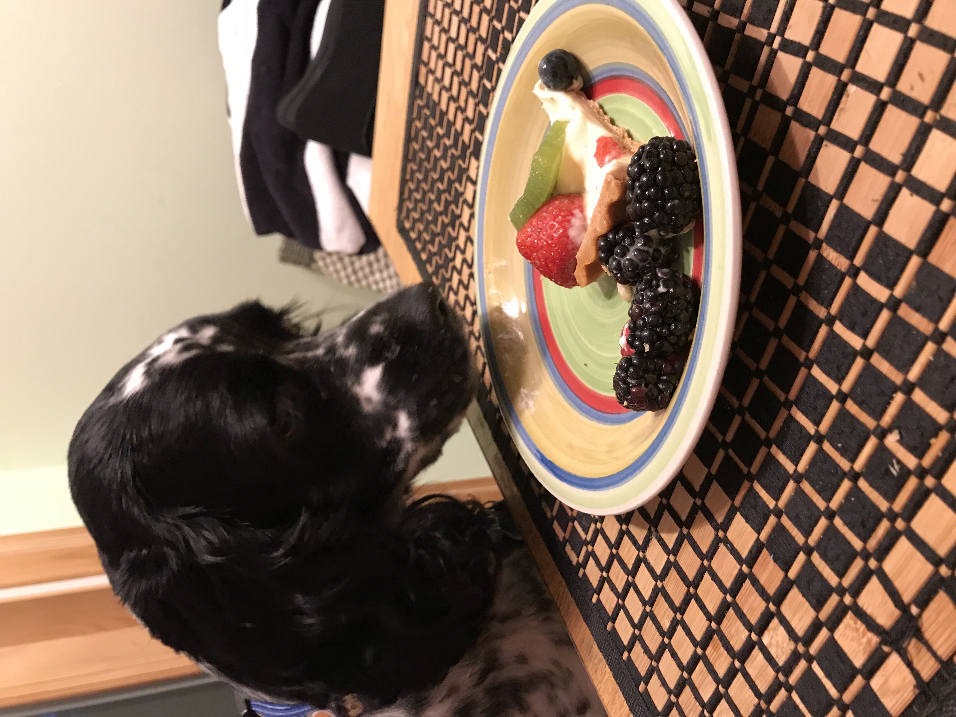 2018-07-24_20-30-47_818.jpeg