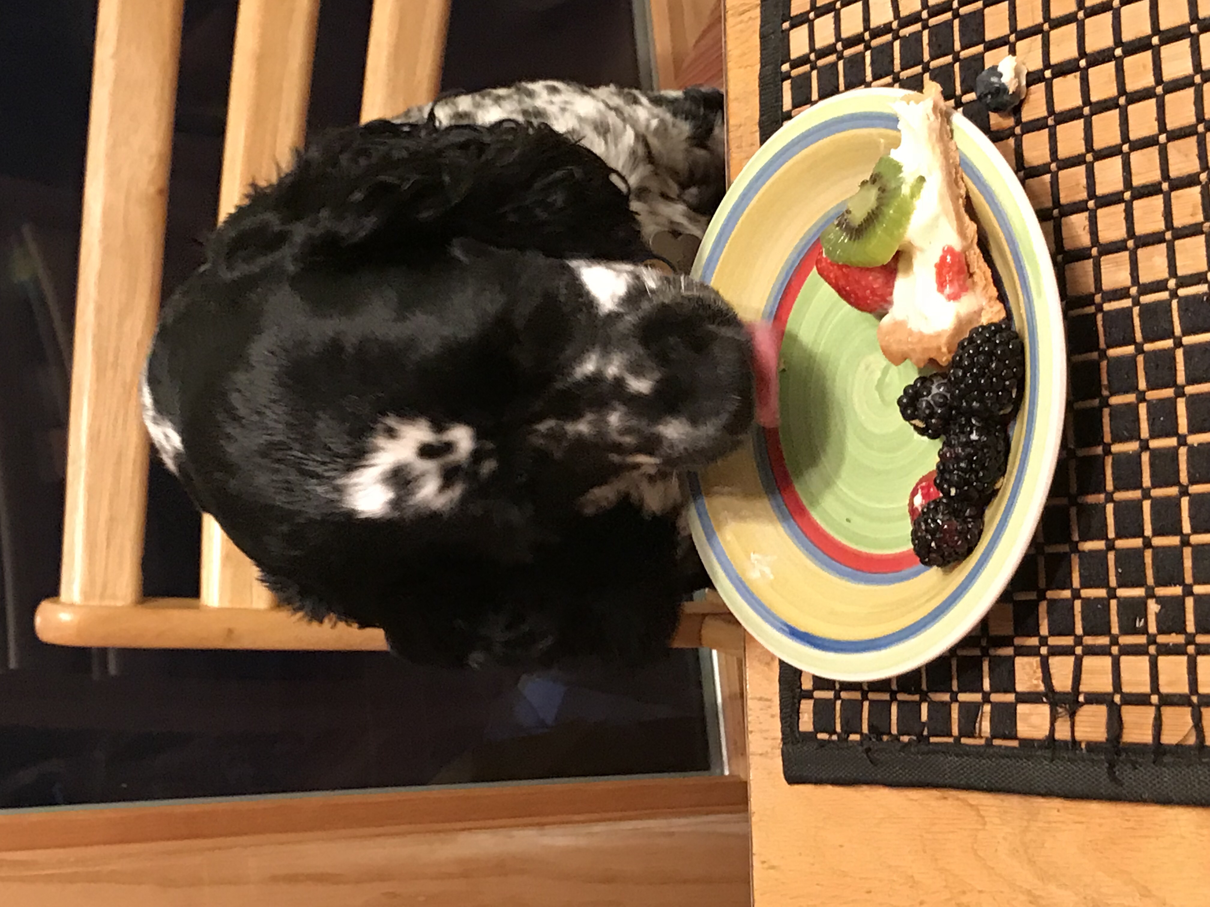 2018-07-24_20-30-57_812.jpeg