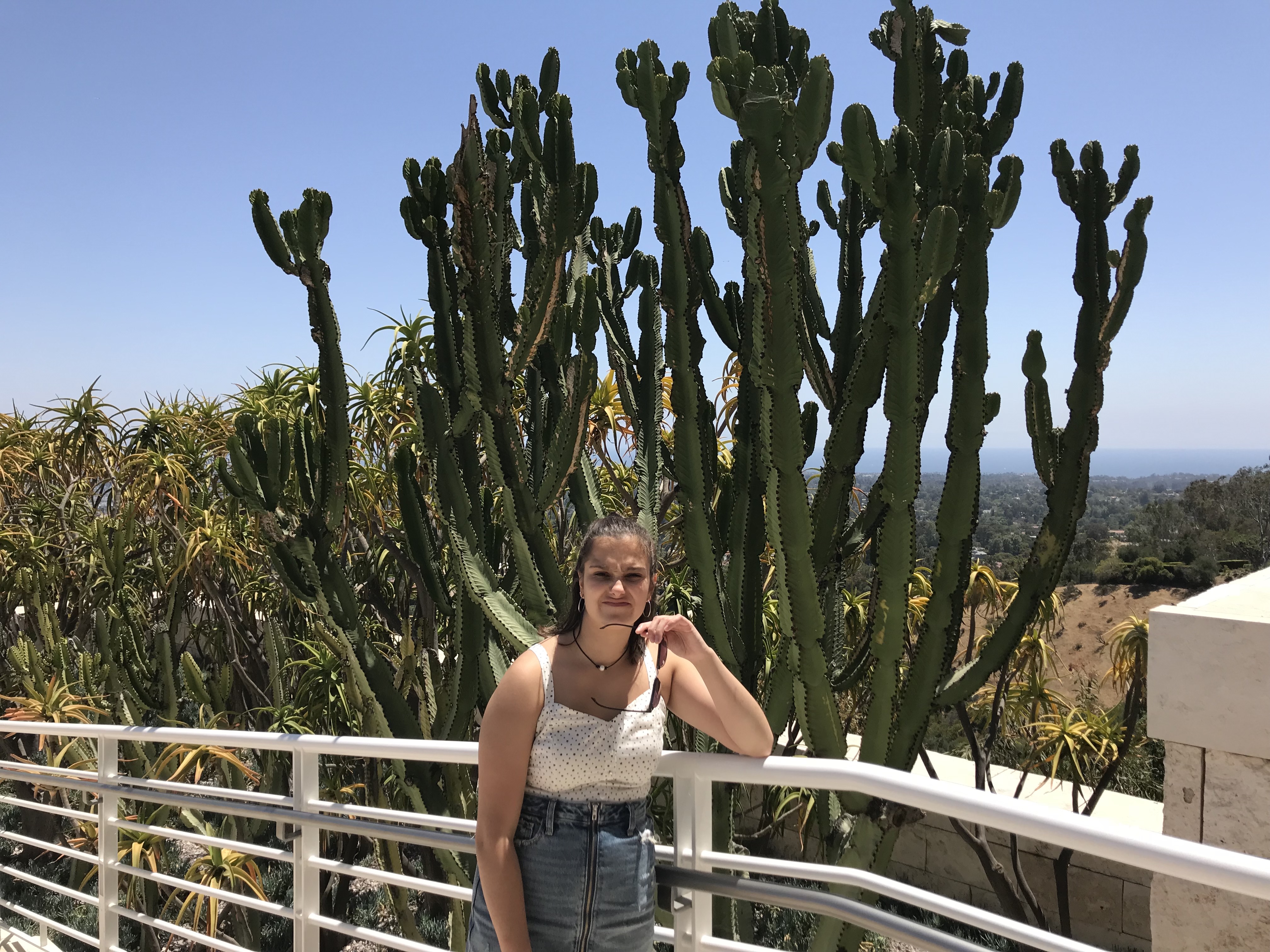 2018-06-30_17-07-07_807.jpeg