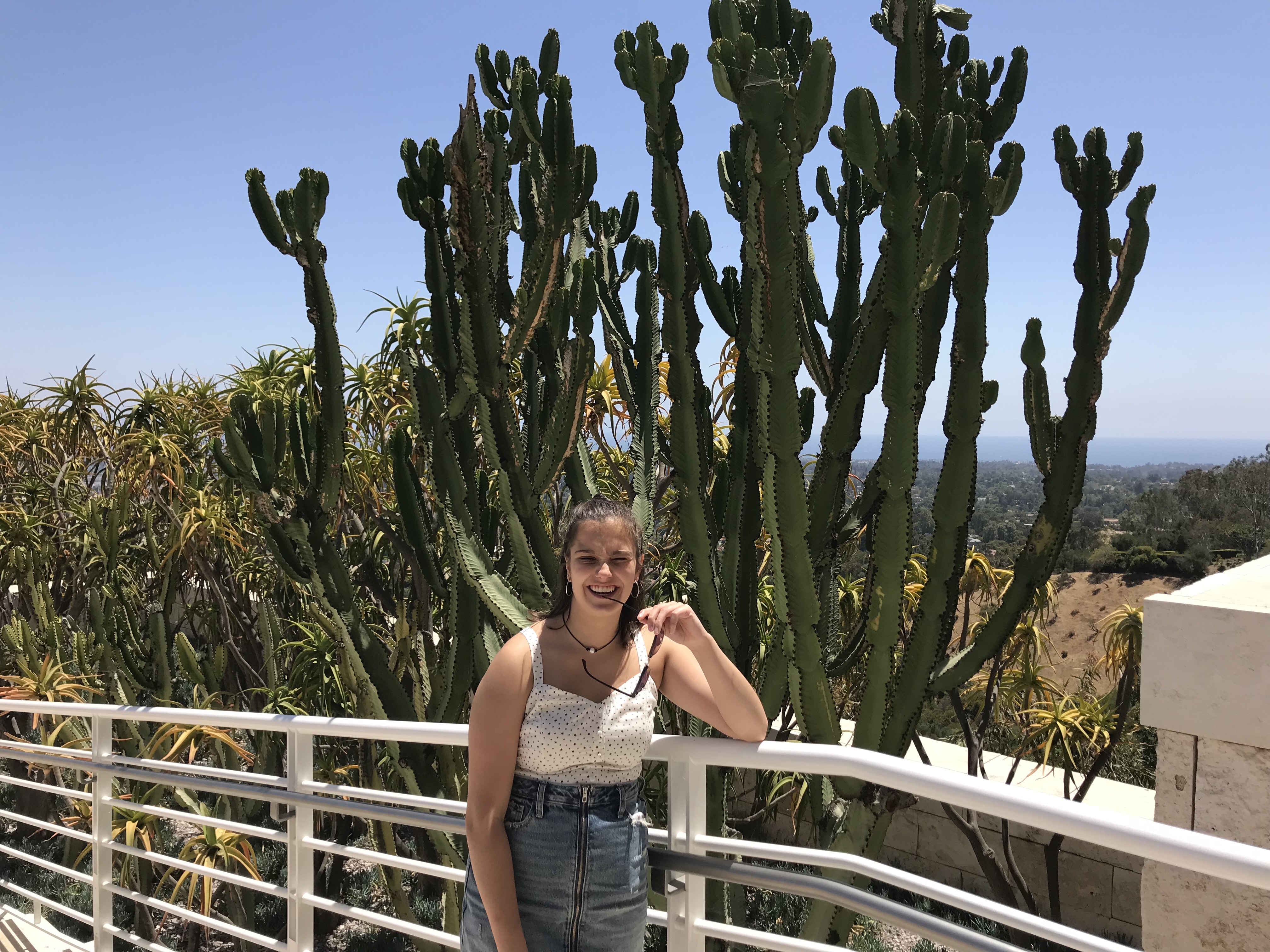 2018-06-30_17-07-09_375.jpeg