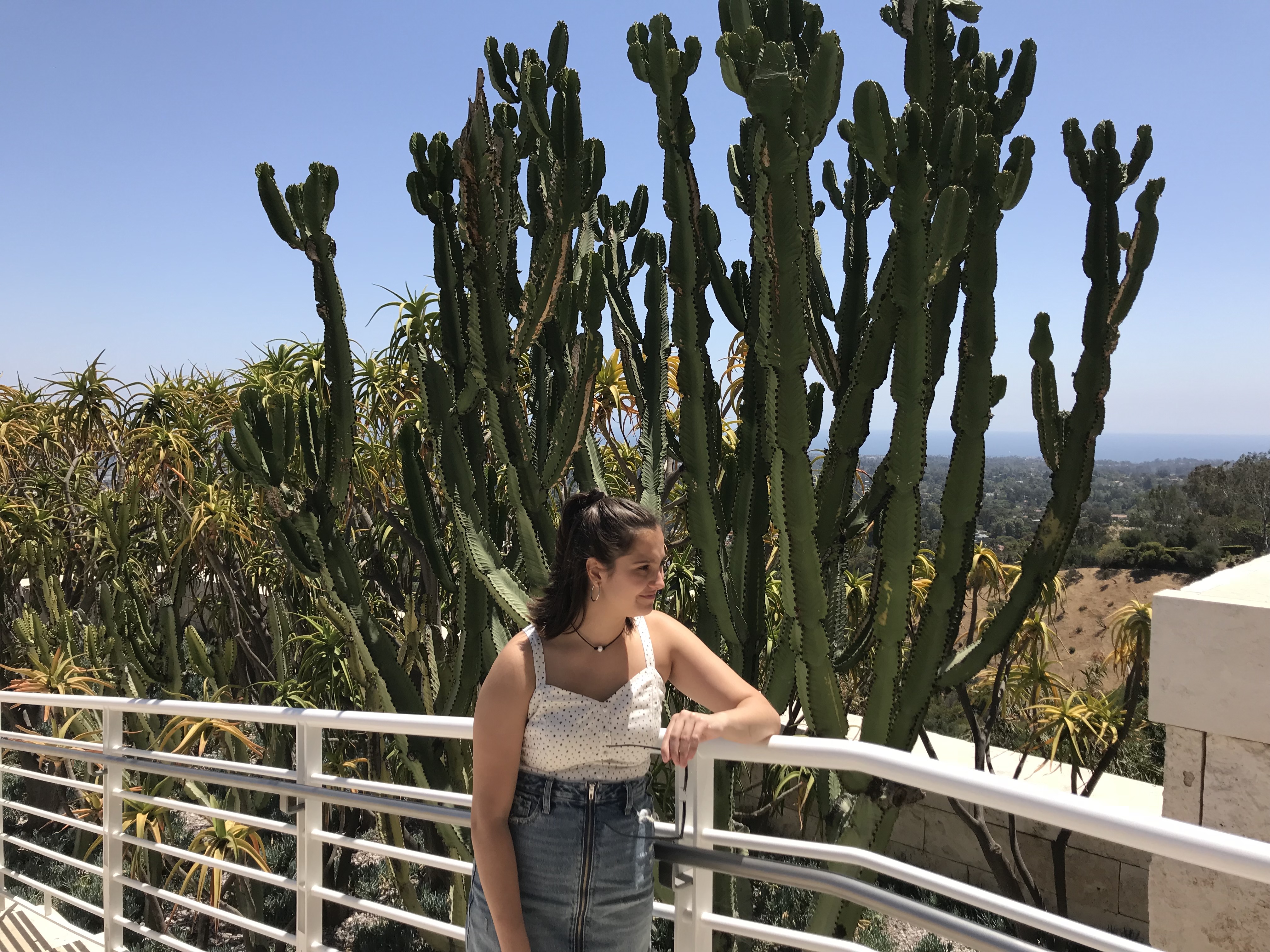 2018-06-30_17-07-10_276.jpeg