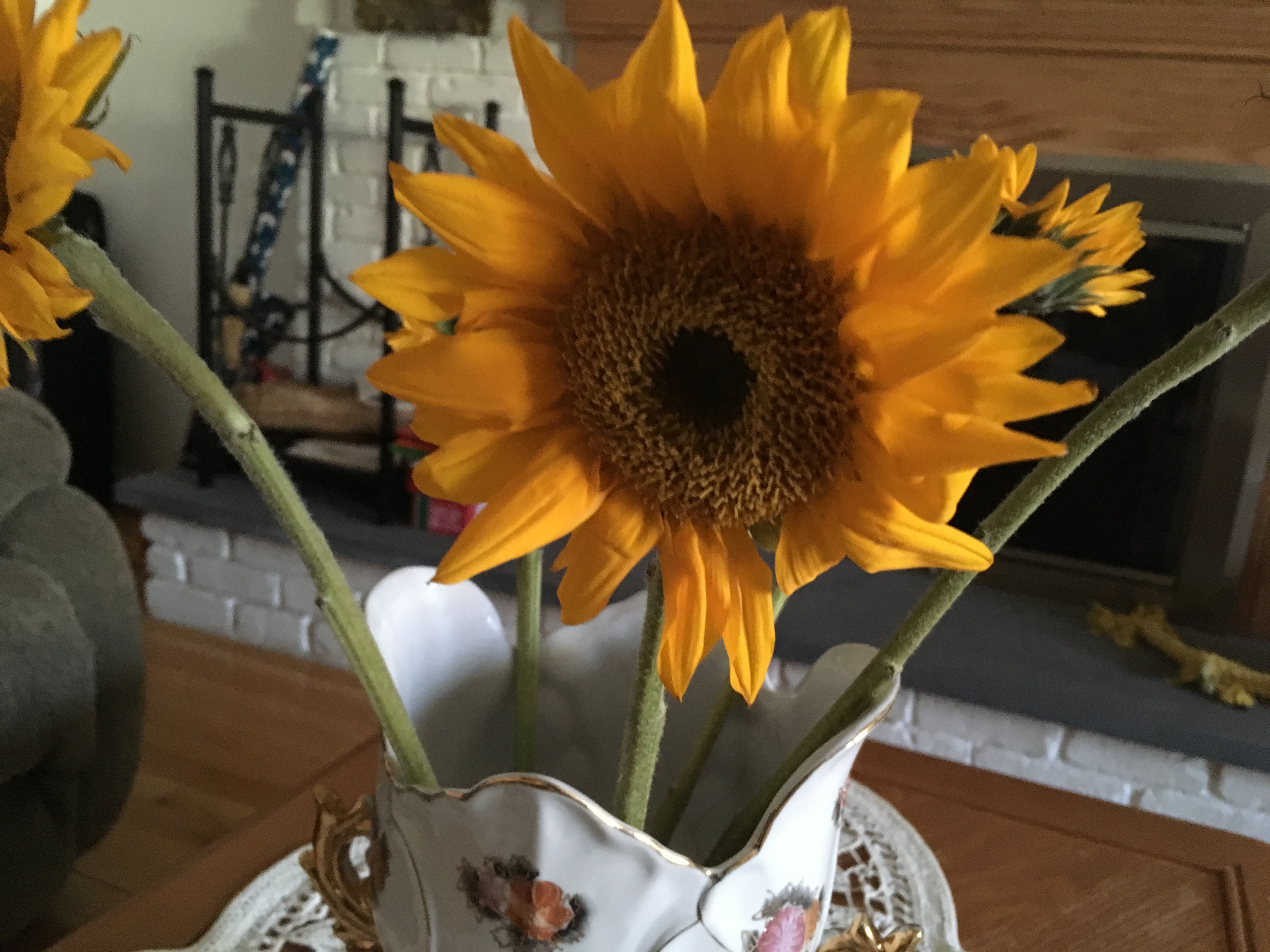 2018-03-24_08-19-50_039.jpeg