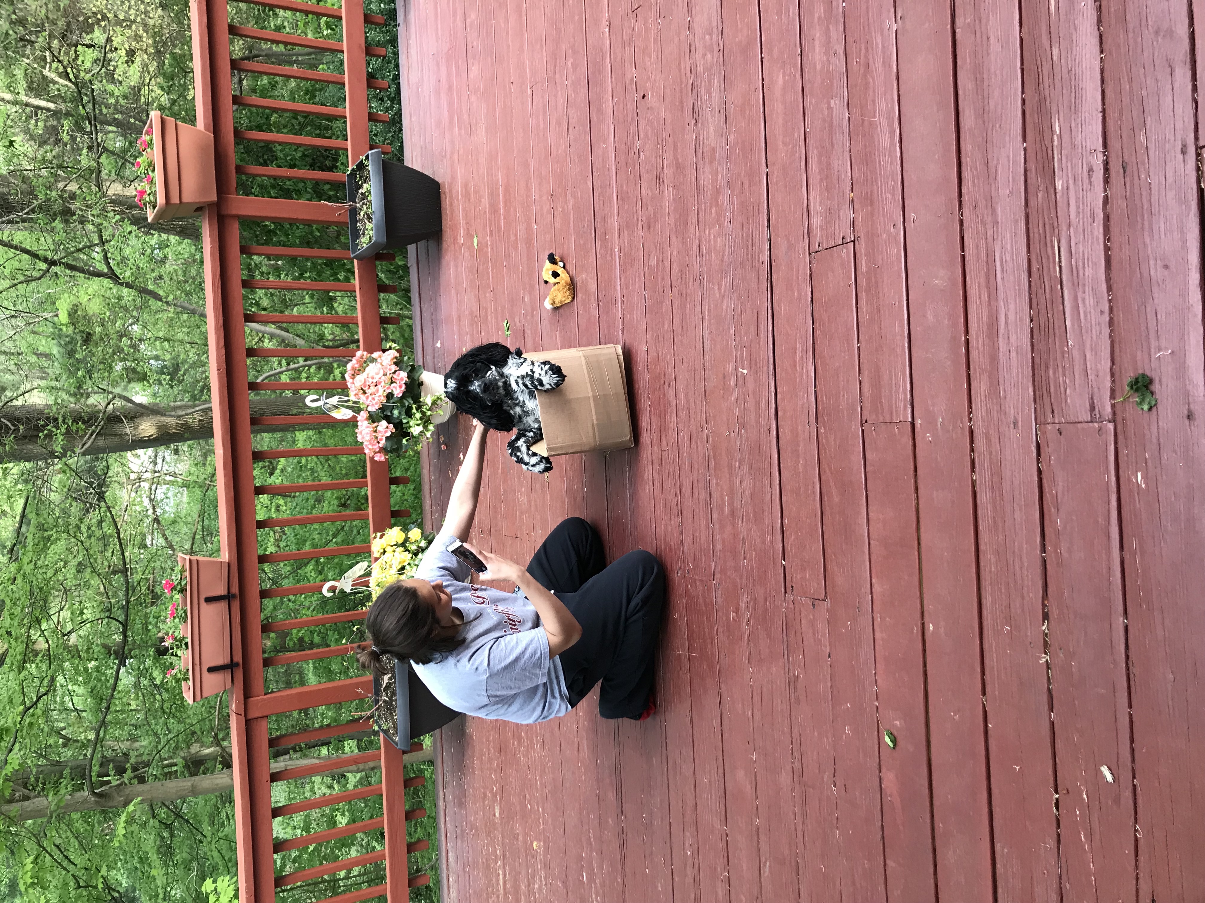 2018-05-11_18-24-40_010.jpeg