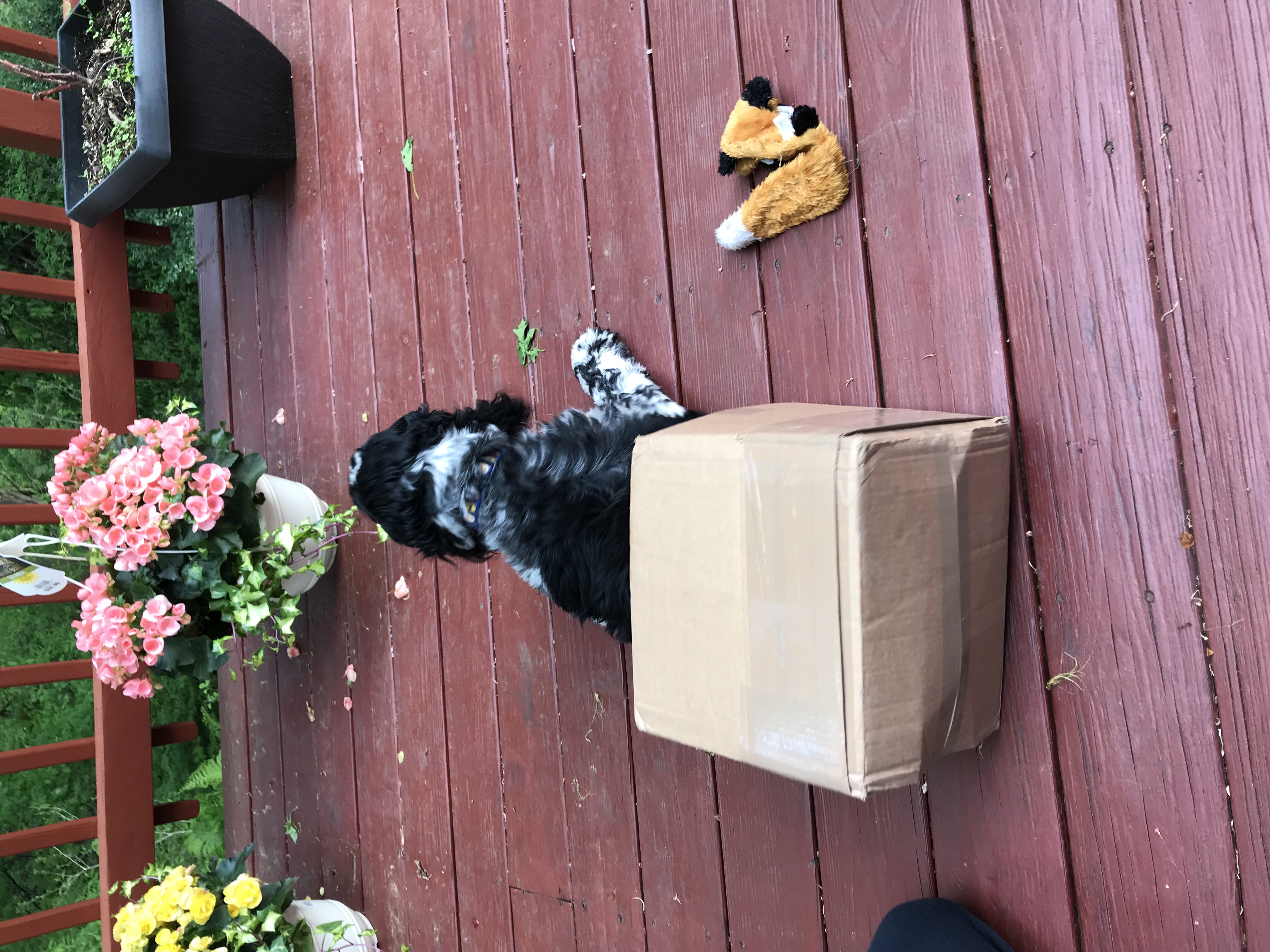 2018-05-11_18-24-43_654.jpeg