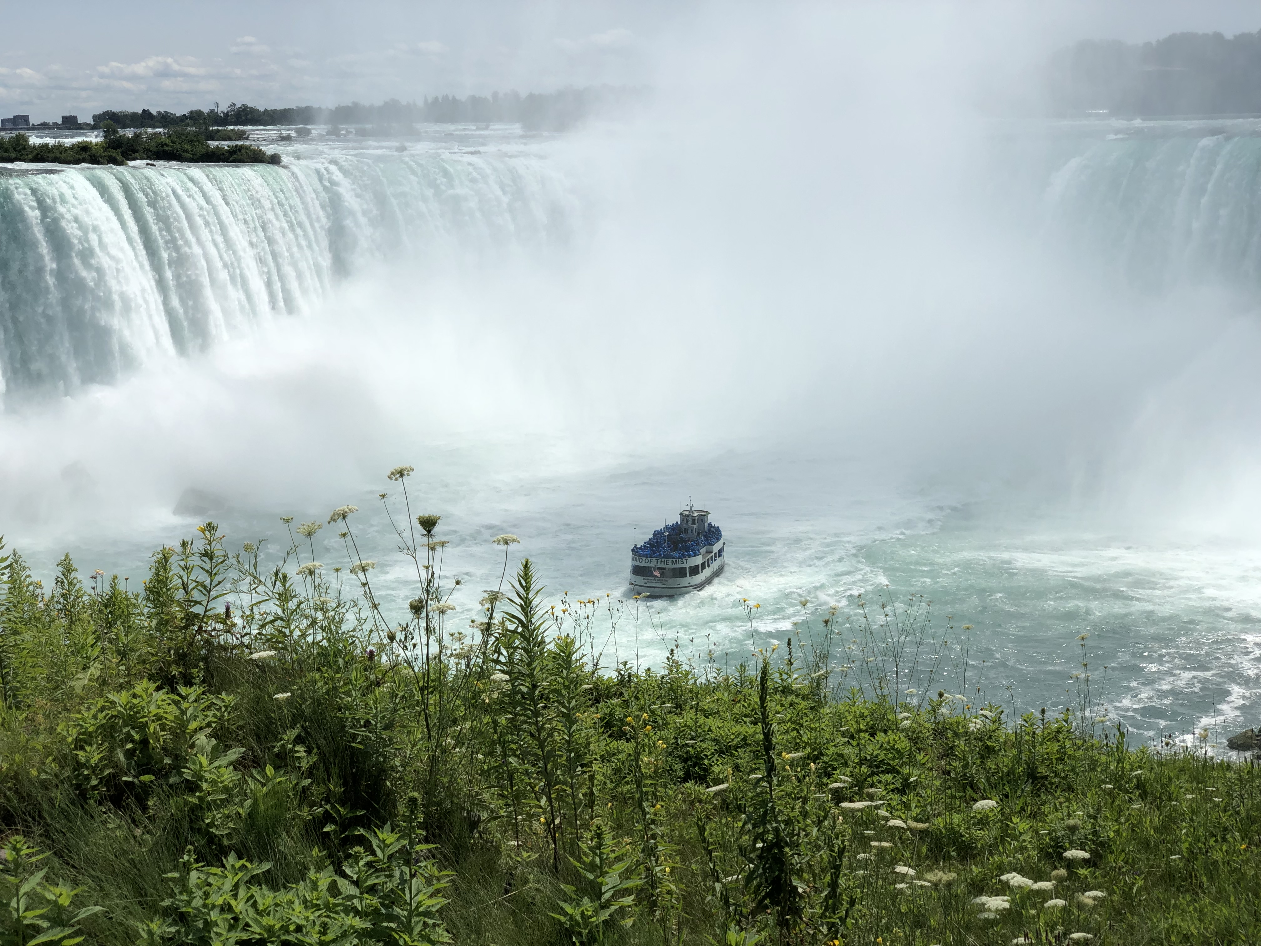 IMG_1042.JPG