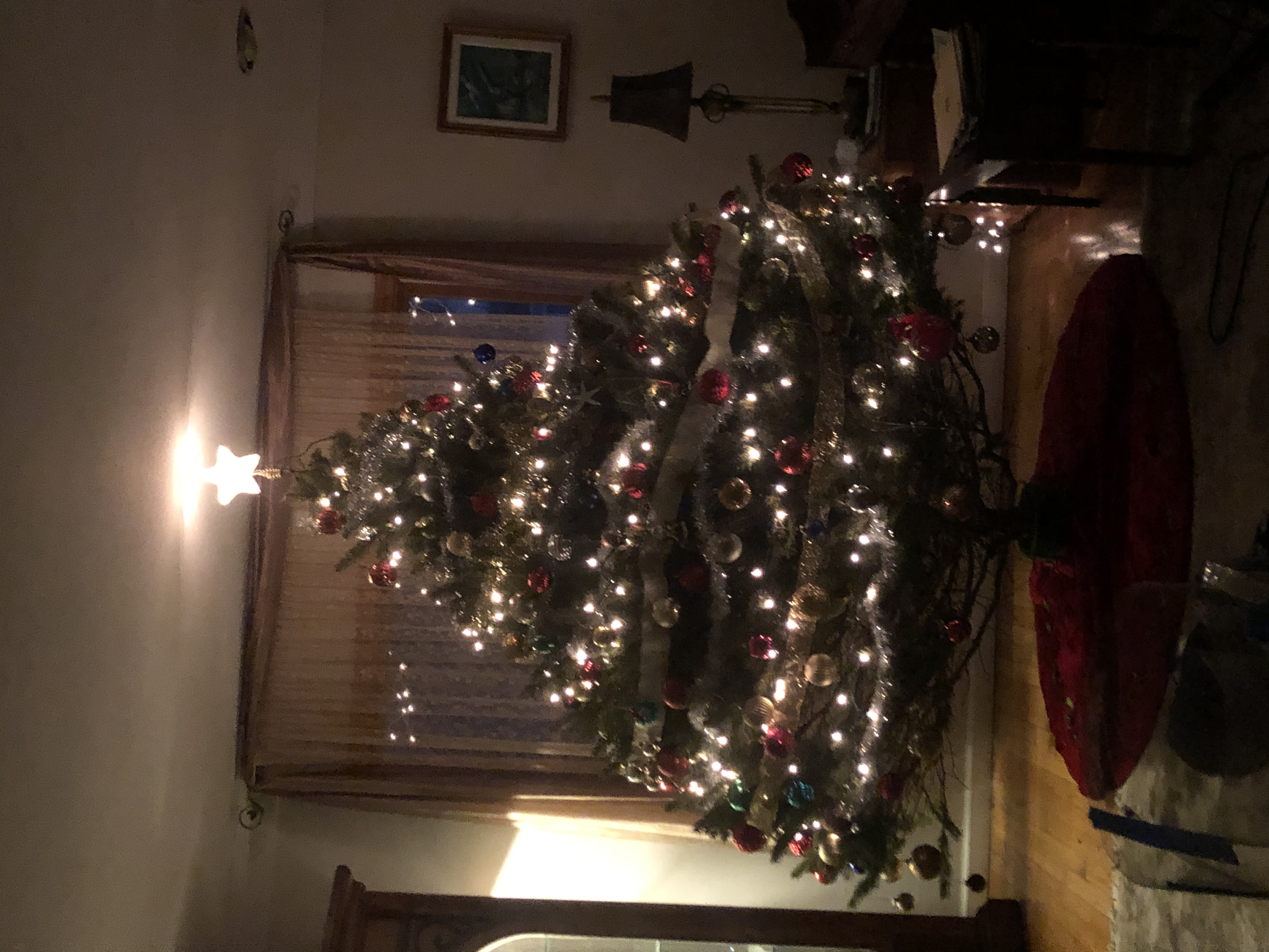IMG_6512.JPG