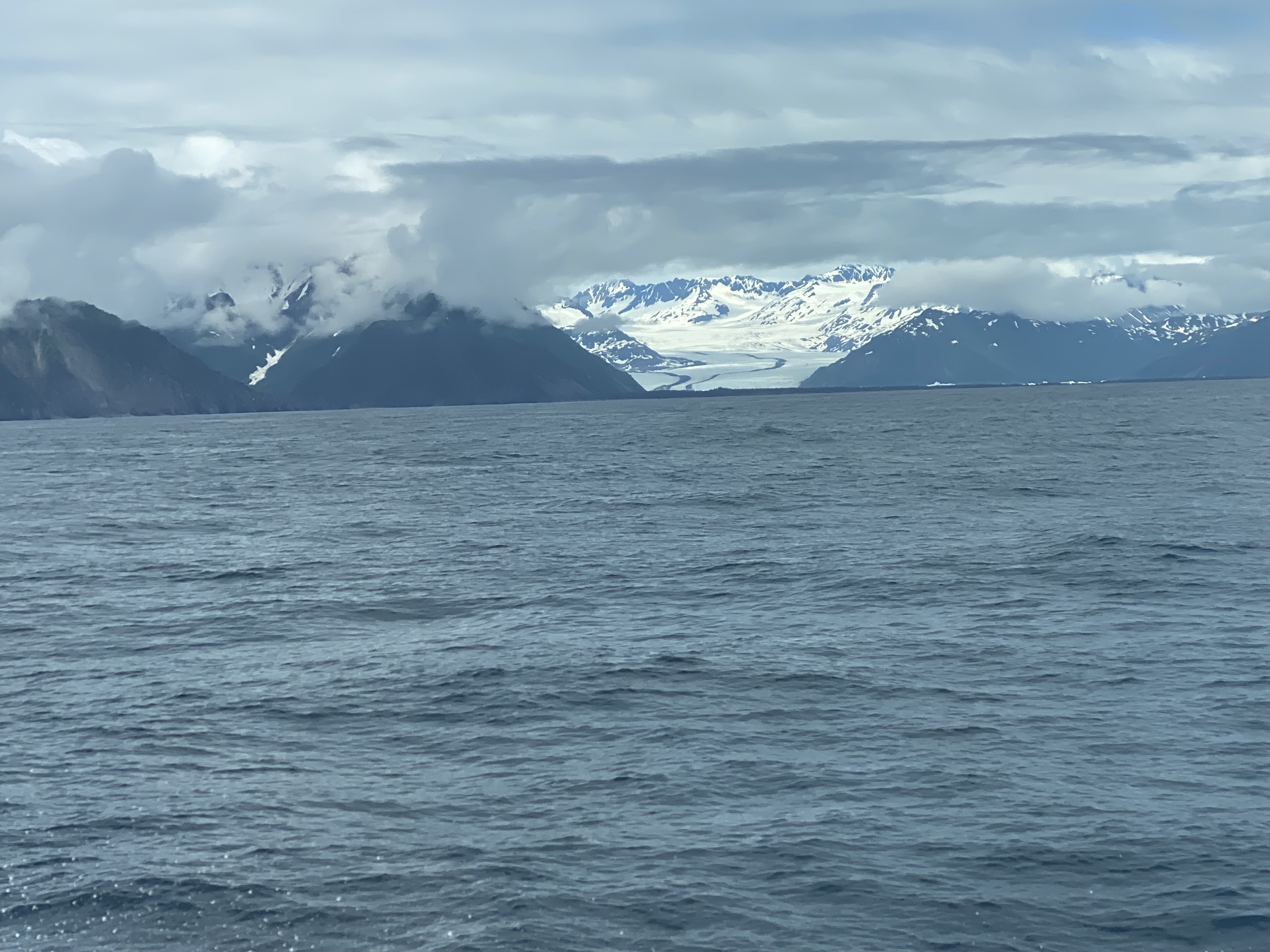 IMG_1514.JPG