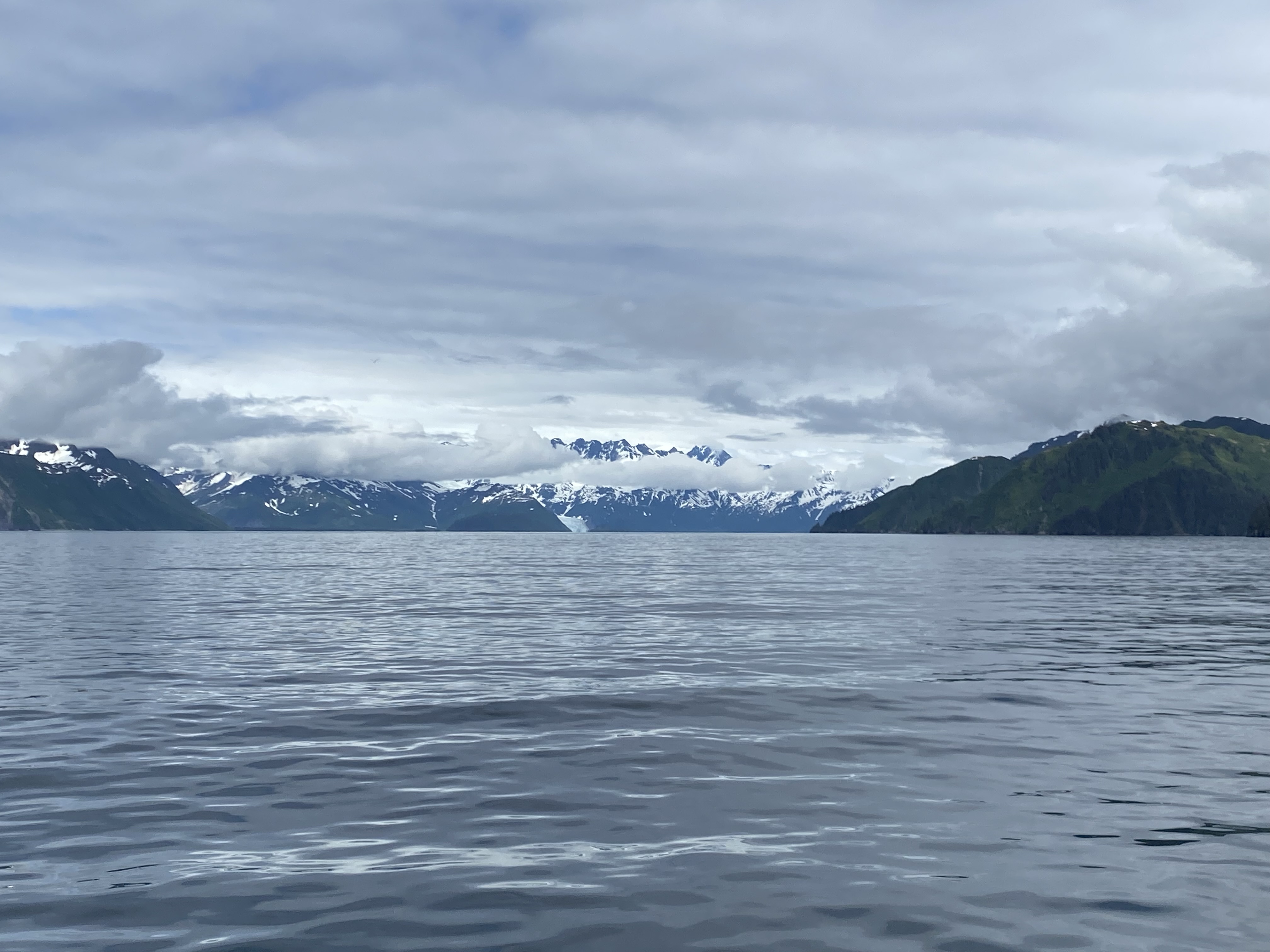 IMG_1519.JPG