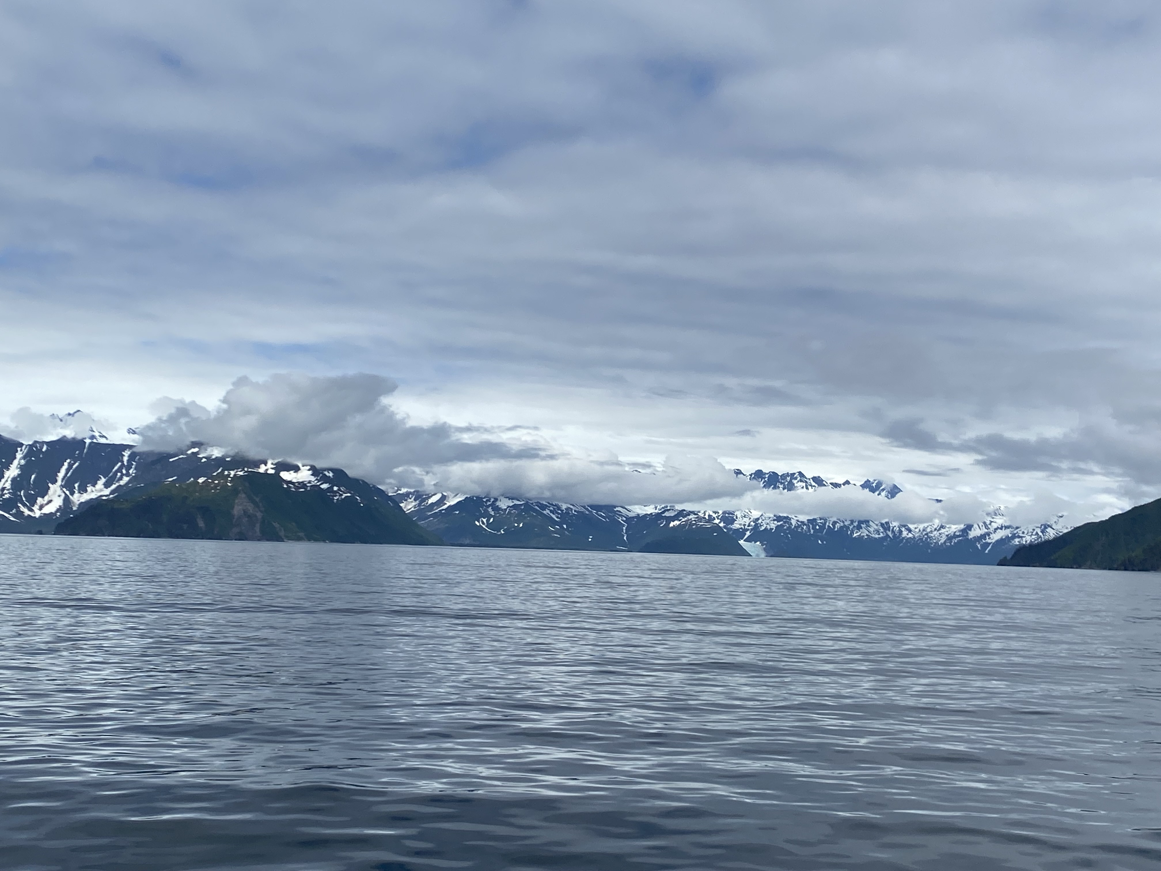 IMG_1520.JPG