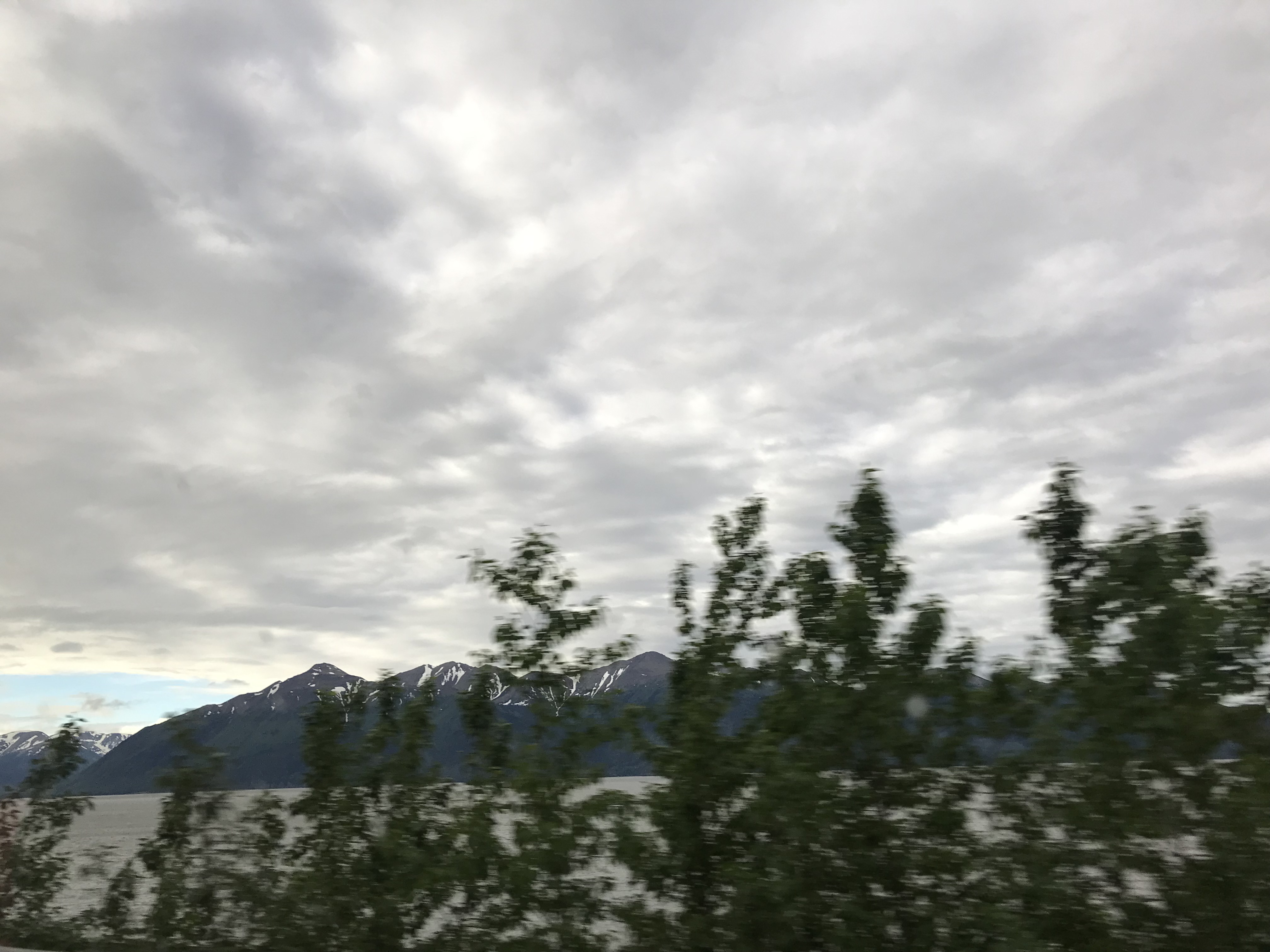 IMG_6221.JPG