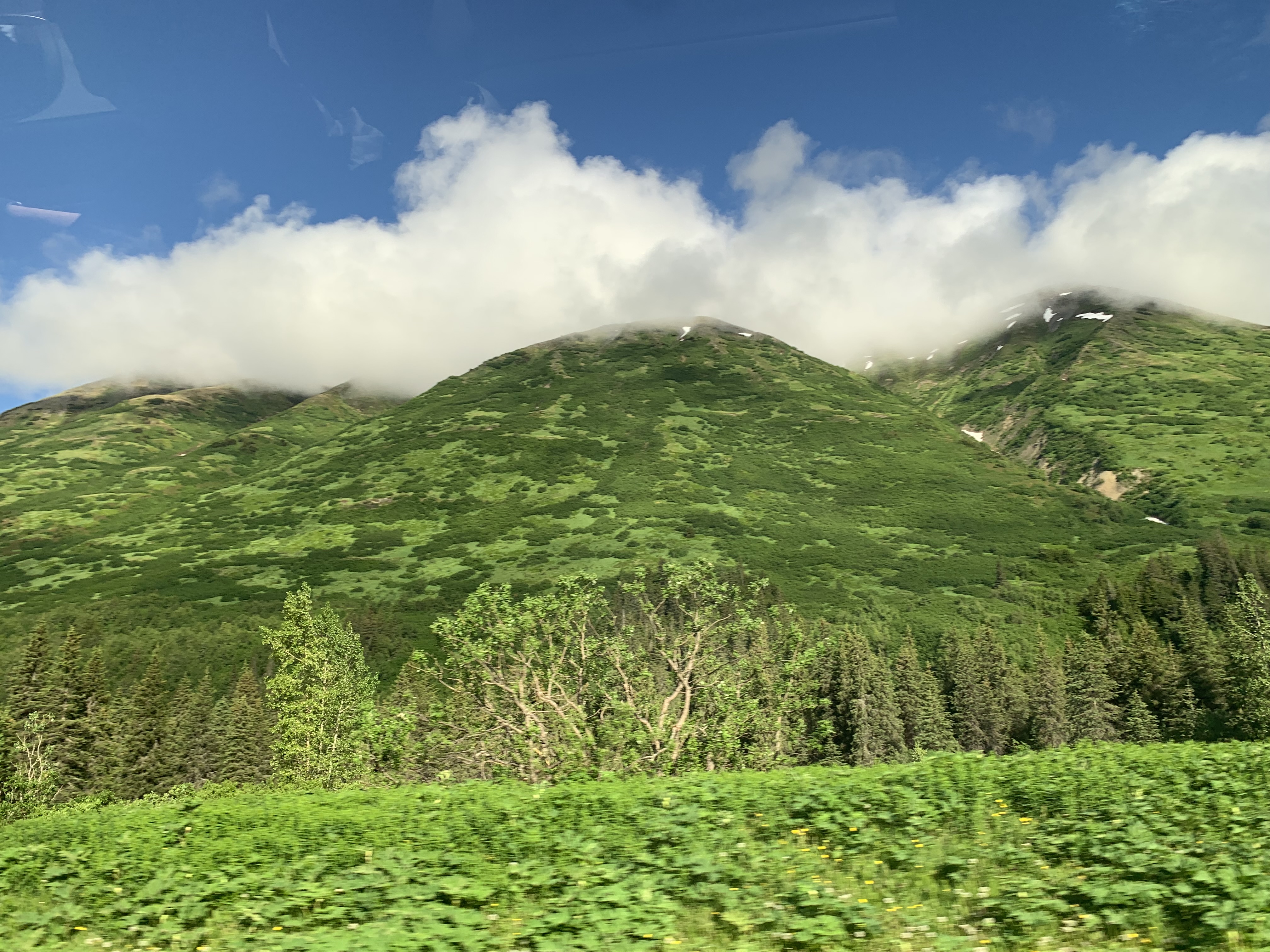 IMG_6951.JPG