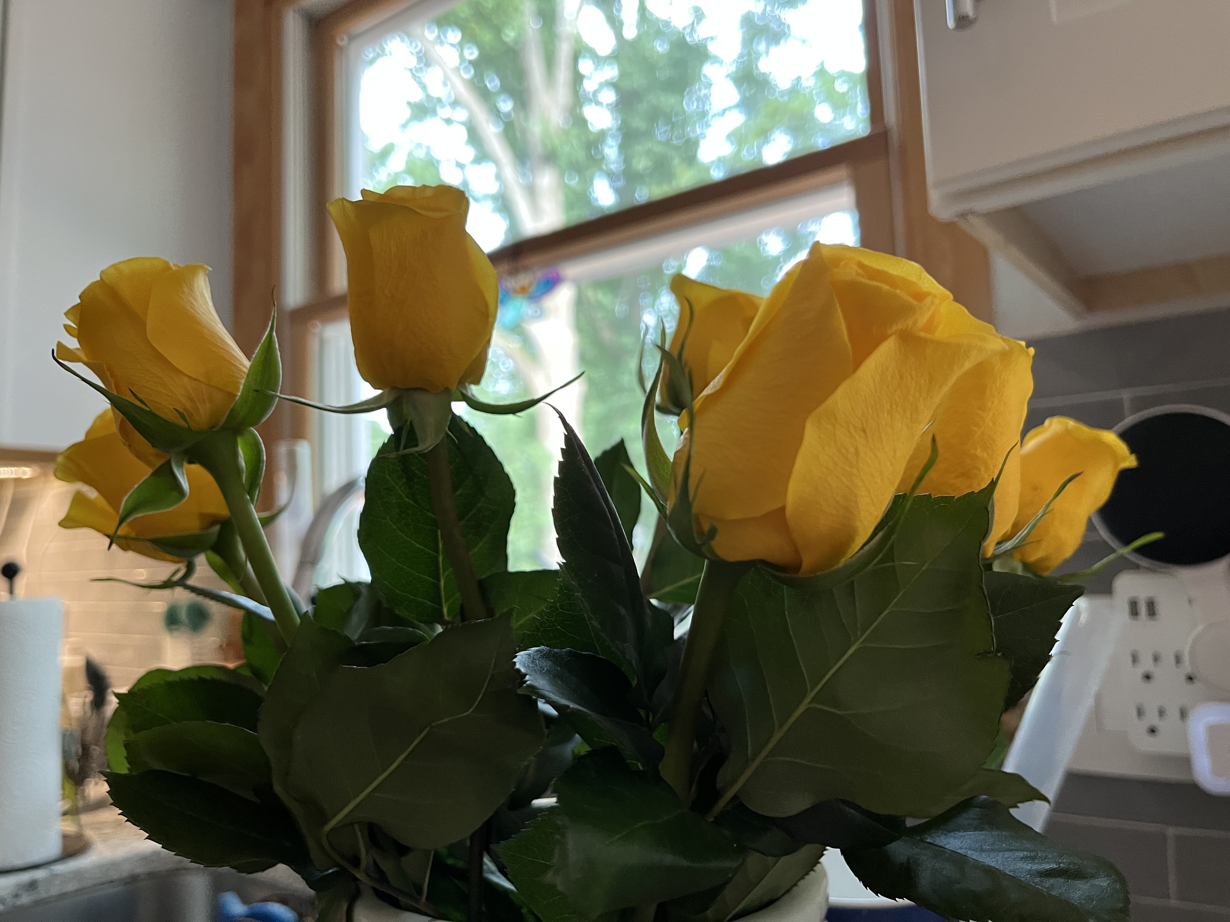 2023-08-14_17-25-22_027.jpg
