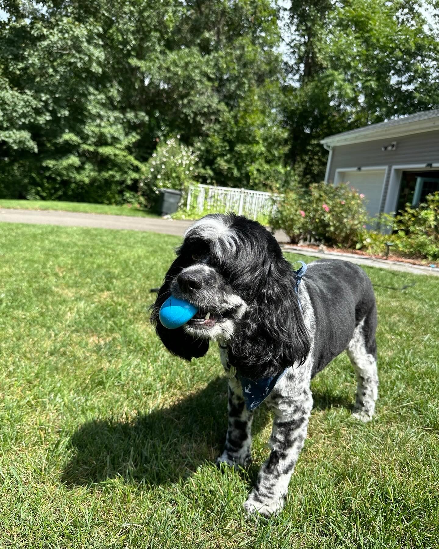 2024-08-26_14-42-47_233.jpeg