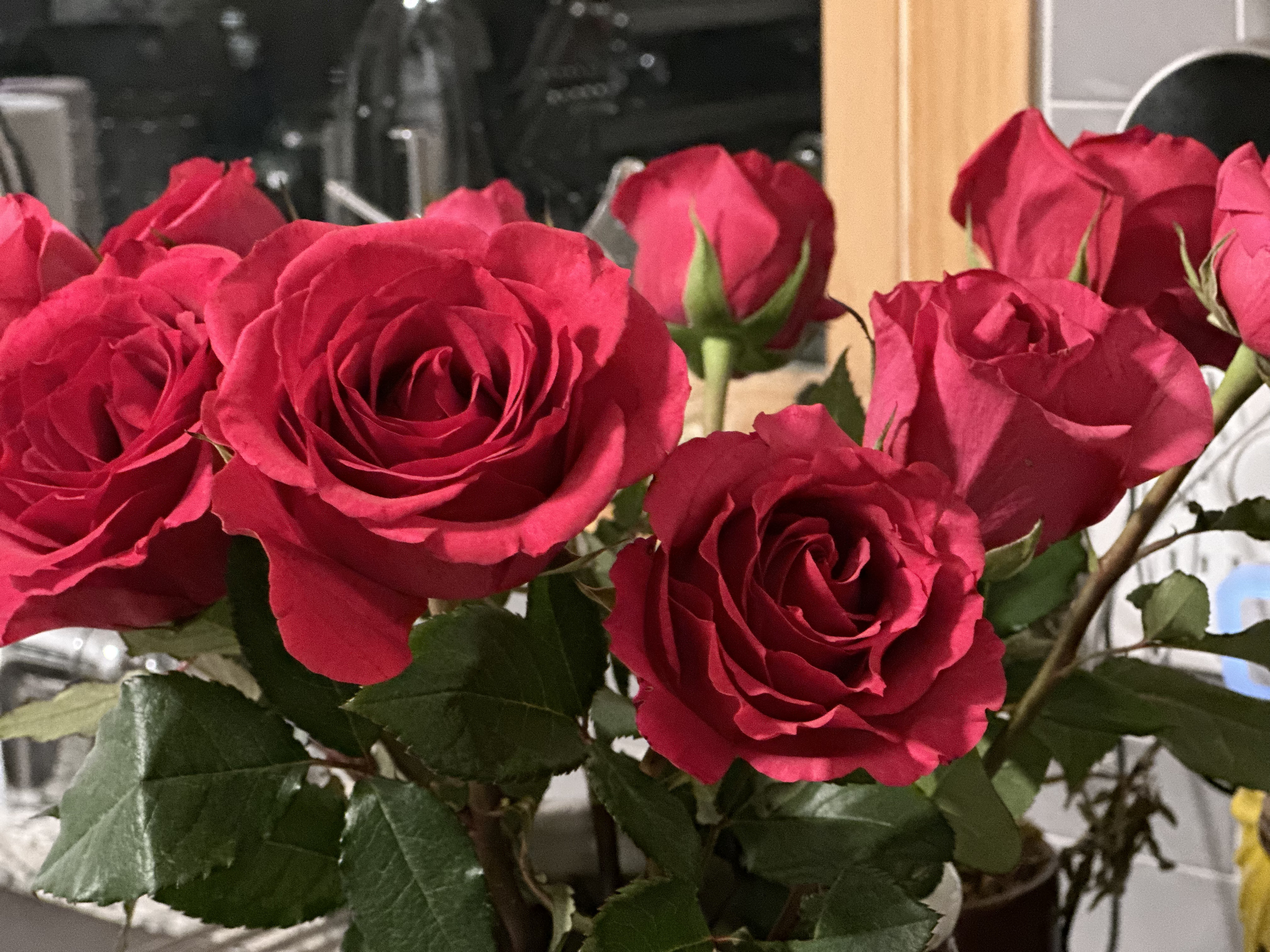 2024-03-14_22-10-35_930.jpg