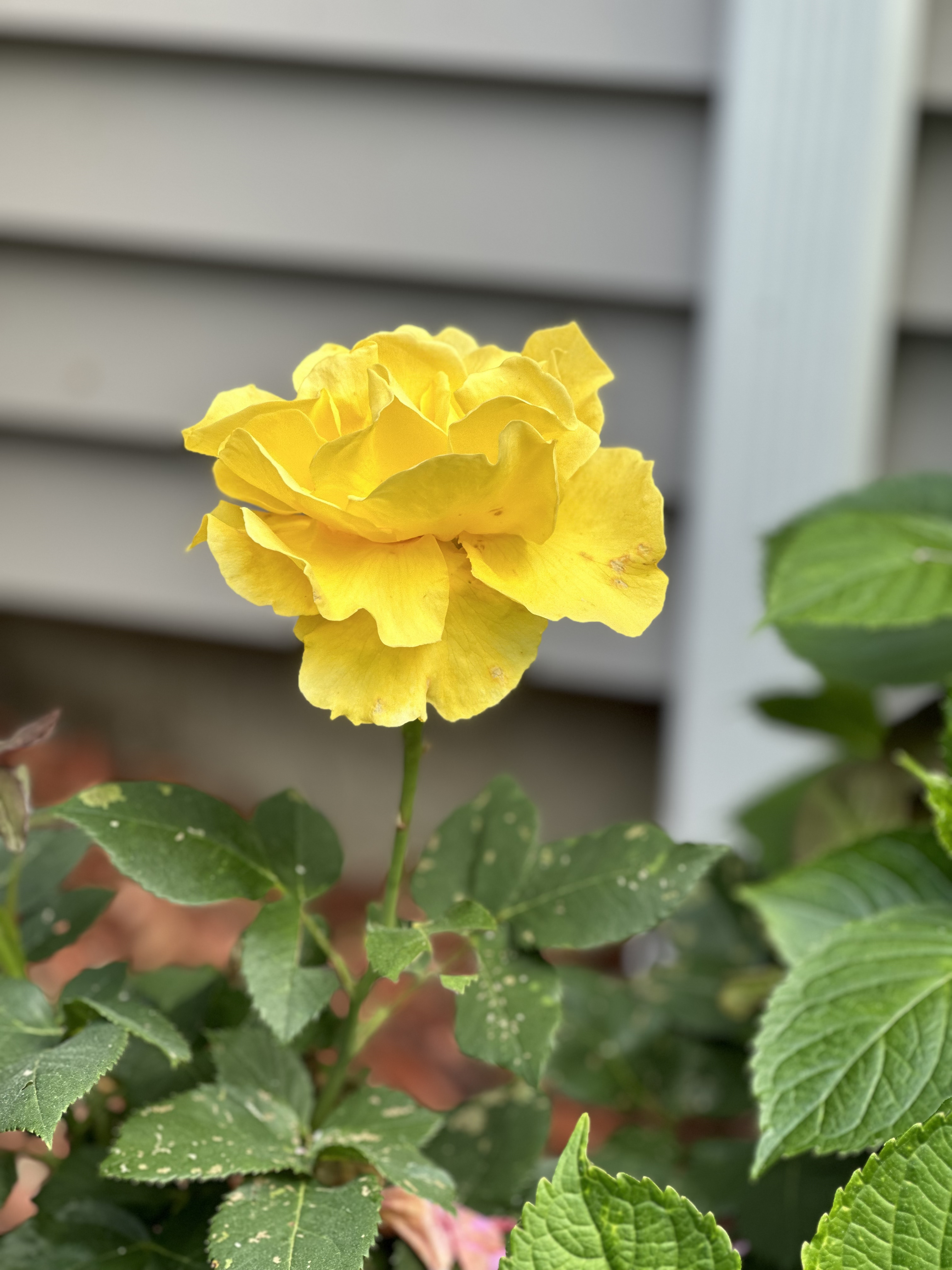 2024-05-29_15-04-03_113.jpg