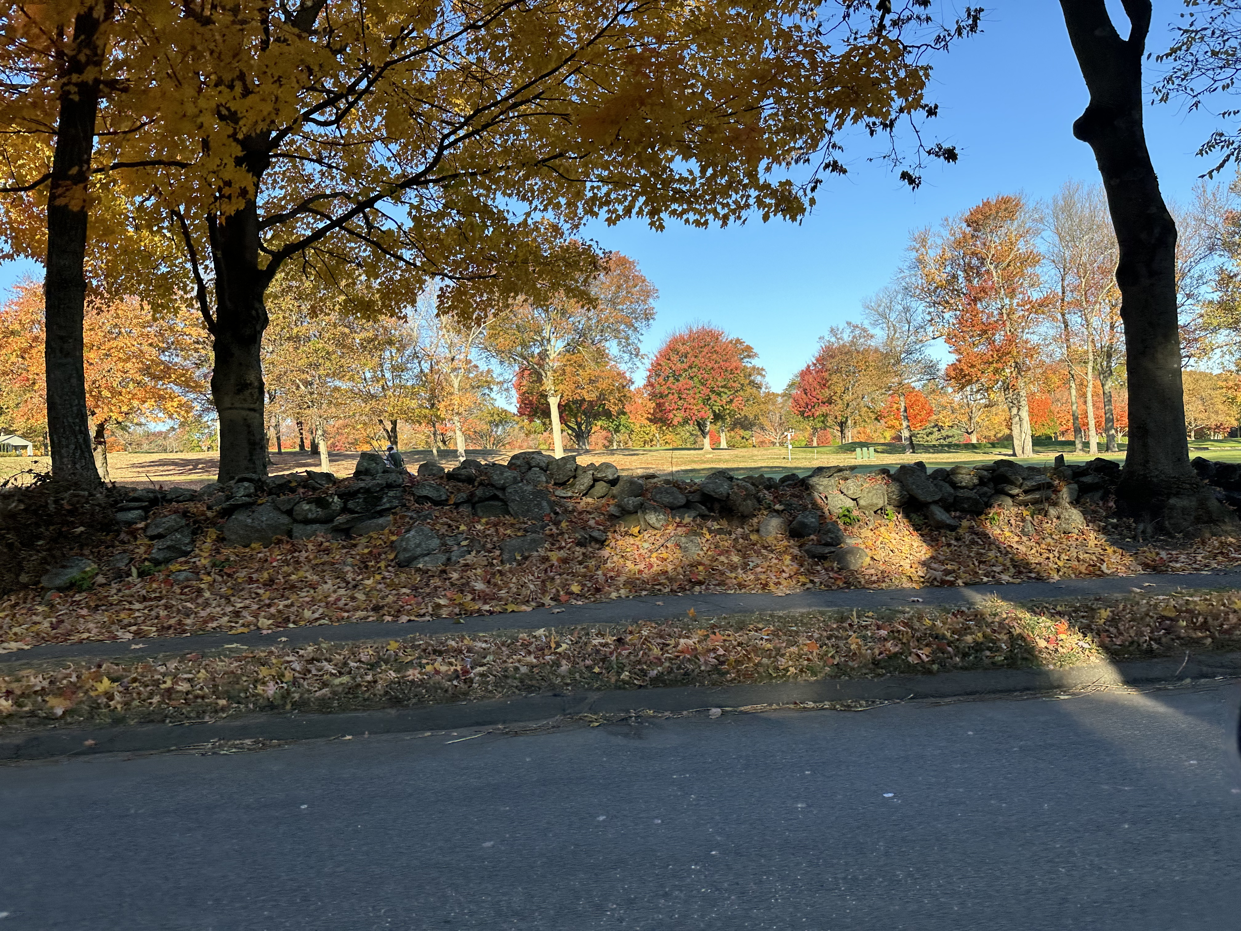 2024-10-27_09-13-13_646.jpg
