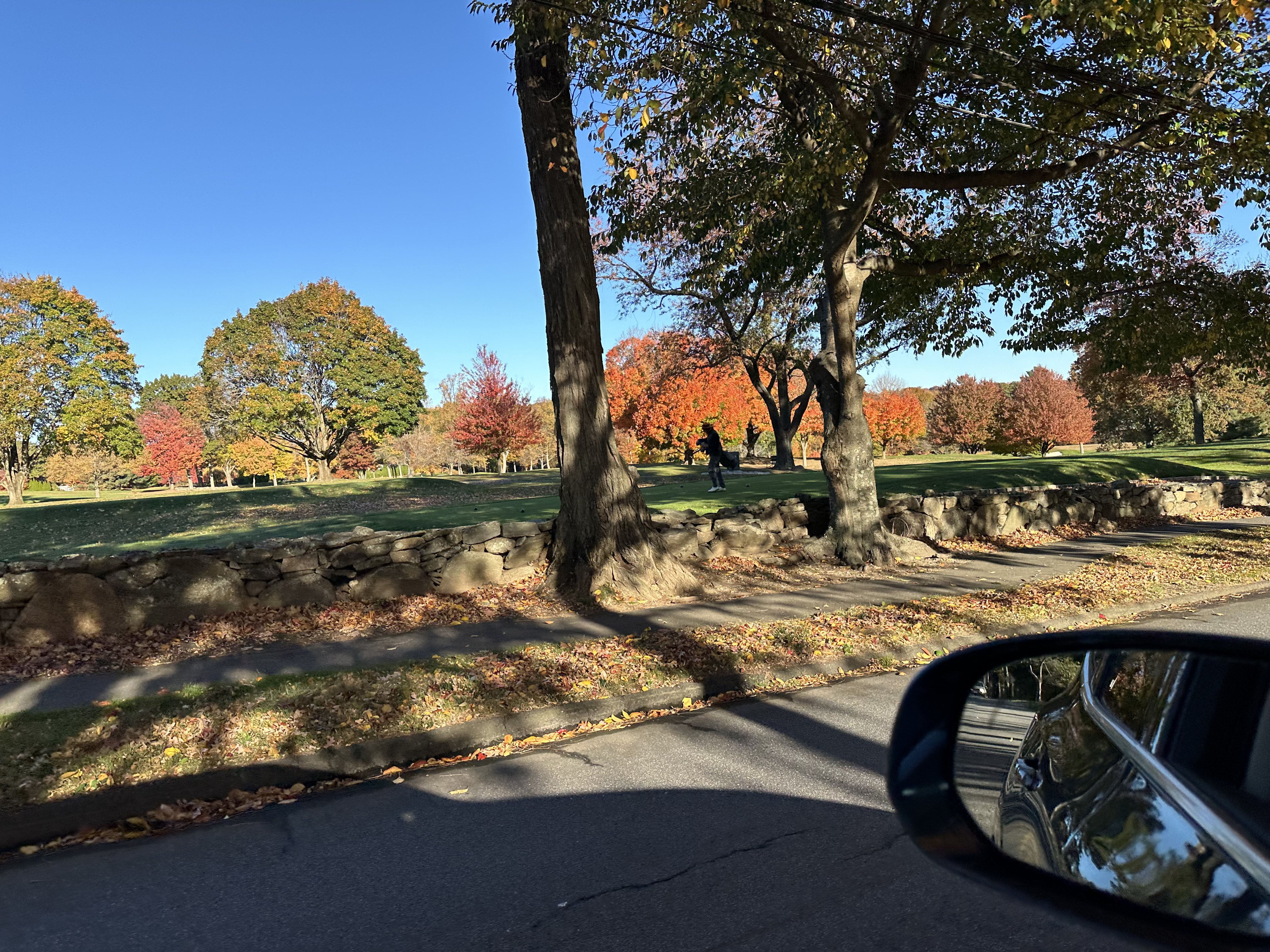 2024-10-27_09-13-22_047.jpg
